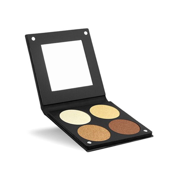 Strobing Colors Palette - STRK2 14g