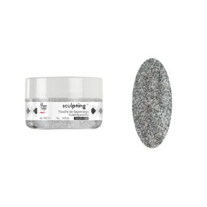 Sculpting powder metallic silver -10g