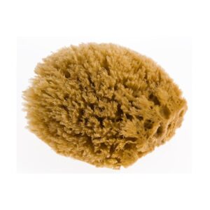 Fresh Line Greek Natural Sponge (Large)